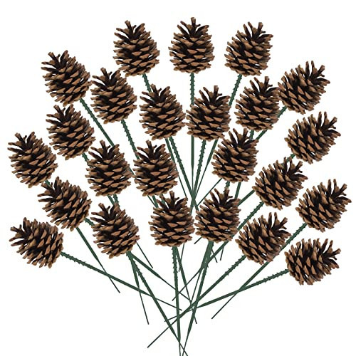 TWOWYHI 24PCS Pinecones Natural Christmas Pine Cones 1.5-2.4inch Pine Cones for Christmas Tree with Wired Pick Pine Cones Decorations Home Holiday Party DIY Craft Rustic Pinecones | Amazon (US)
