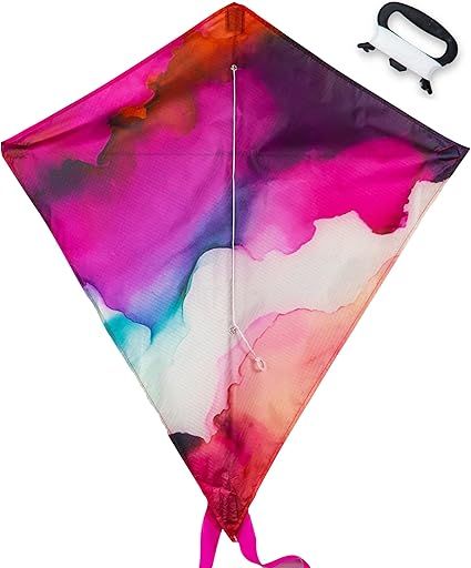 Large Premium Delta Kite for Kids and Adults, Easy to Fly and Assemble, Great for Beach and Outdo... | Amazon (US)