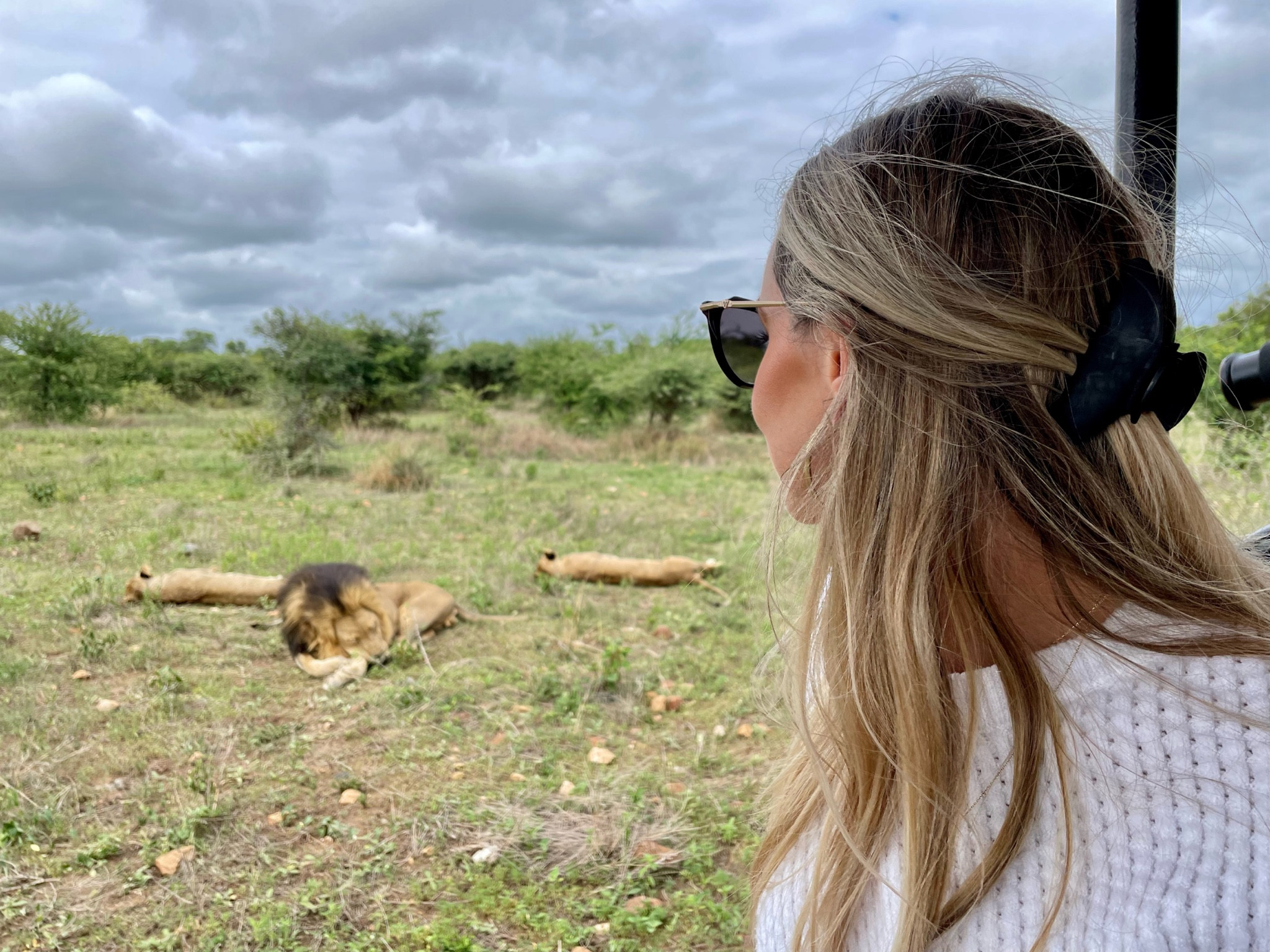 African Safari 