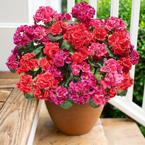 Artificial Geranium Fake Flowers for Outdoors Decoration, 6 Bundles Silk Geraniums Flower UV Resi... | Amazon (US)