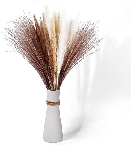 60 Pcs Dried Pampas Grass, 25.6" Natural Pompas Floral with 4 Colors Fluffy Swinging DIY Boho Flo... | Amazon (US)