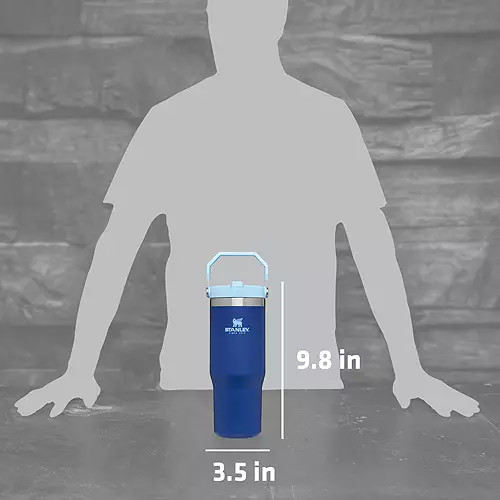 Stanley 30 Oz. IceFlow Tumbler with Flip Straw | Dick's Sporting Goods