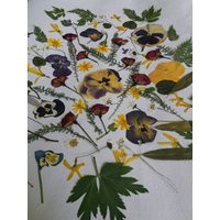 Natural Pressed Flowers, Pressed Leaves, Green Leaves, Pressed Mix Flowers, Floral Art, Real Flower, Resin Flowers, Dry Flower Supply | Etsy (US)