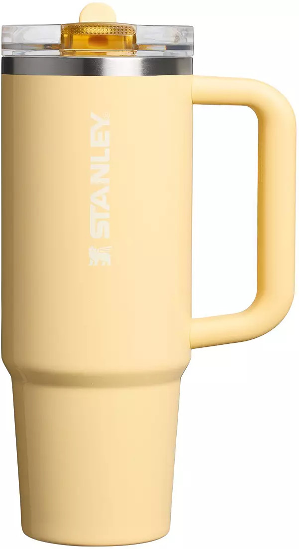 Stanley 30 oz. Quencher ProTour Flip Straw Tumbler | DICK'S Sporting Goods