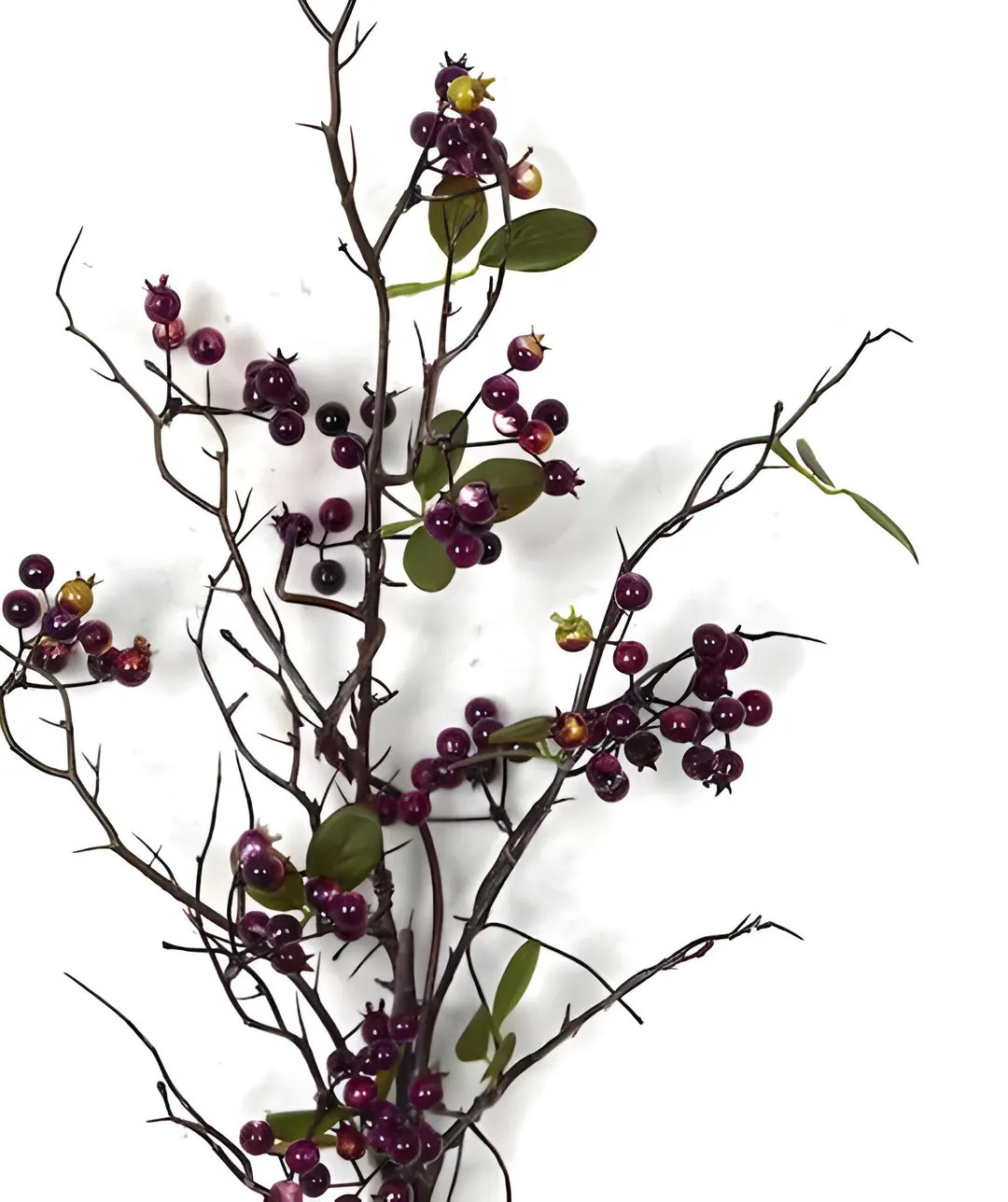 34" Mixed Crabapple Berry Branch Stems Burgundy Red With Twigs - Etsy | Etsy (US)