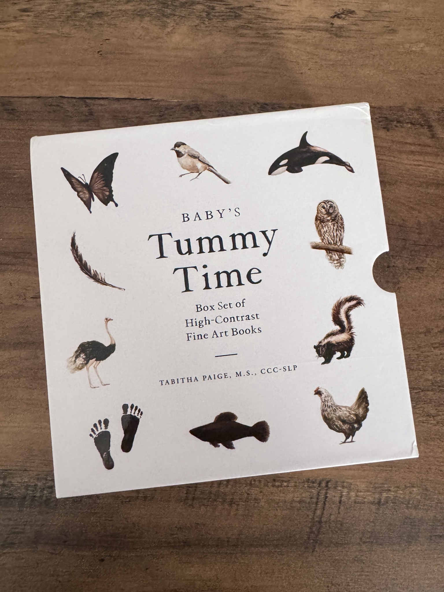 I found the cutest high contrast newborn book set 🖤 

These black and white baby books are perfect for newborn visual development, tummy time, and early learning. You get 3 books that grow with baby. 

It is a perfect baby shower gift (many moms ask for books instead of a card) 

#LTKBump #LTKmomlife #LTKBaby