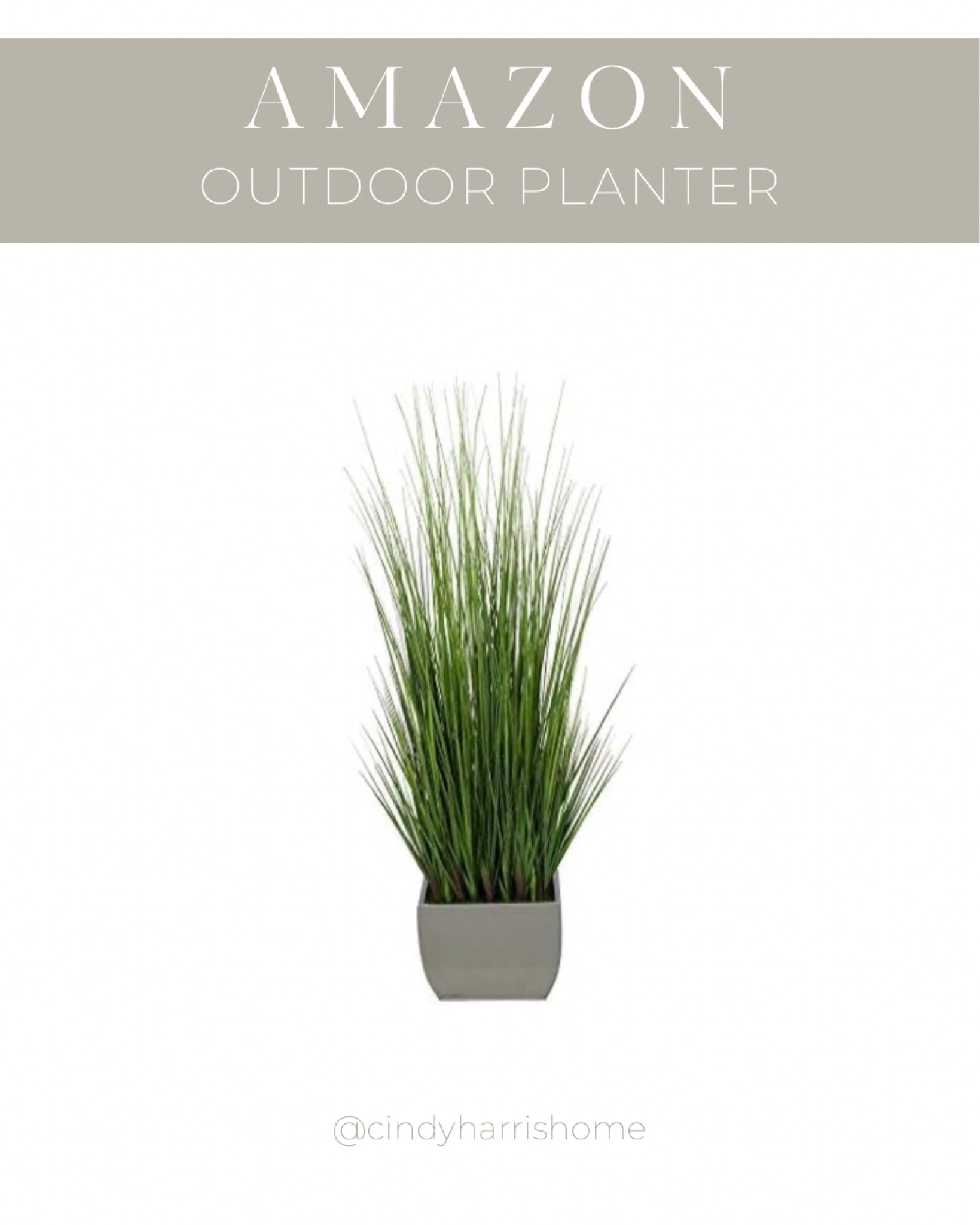 Similar to my outdoor planters at our Arizona Airbnb! Recently spray painted mine to give them a little refresh. 

#LTKhome