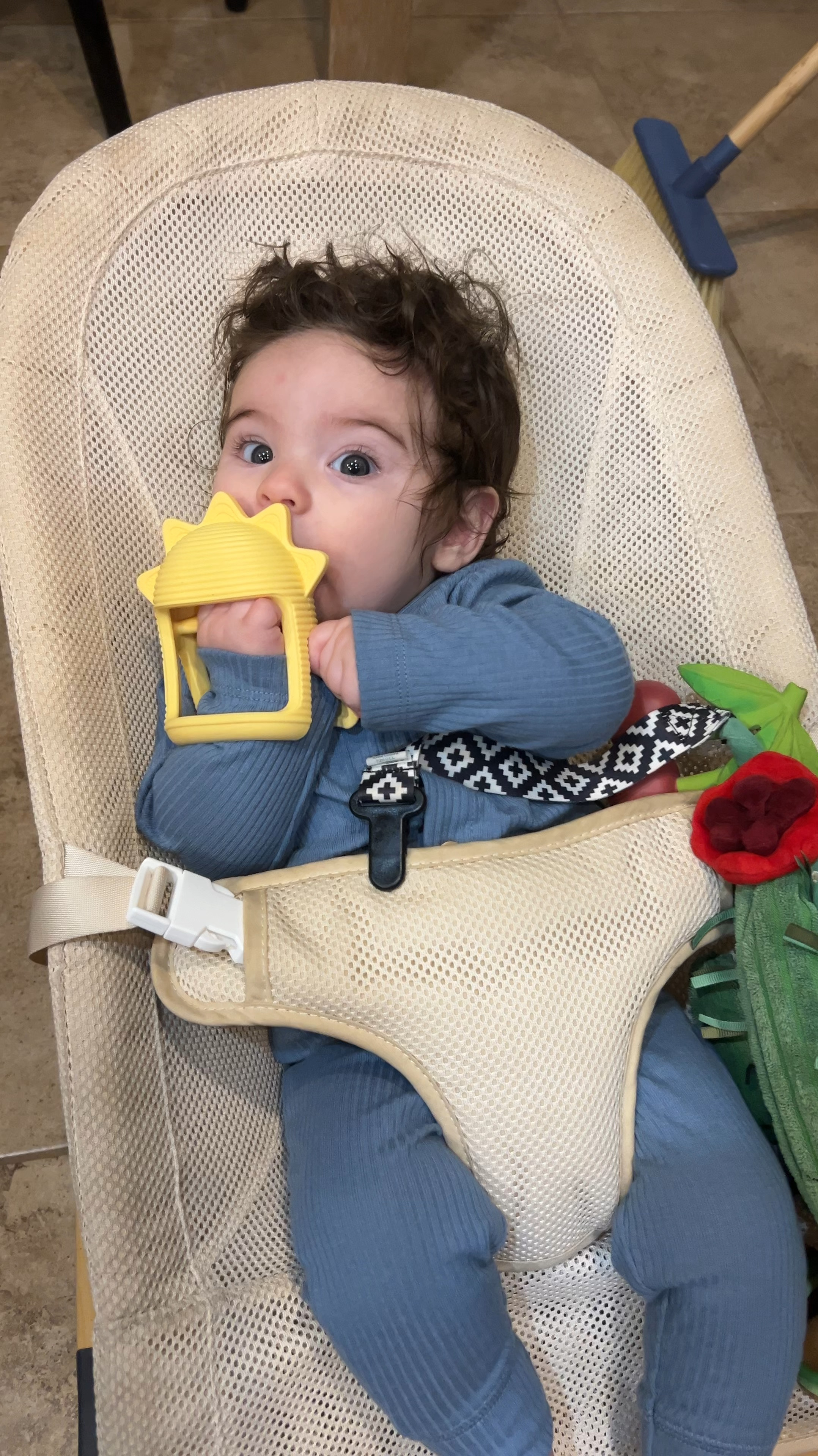 Best chewy with a handle! And the BEST bouncer  