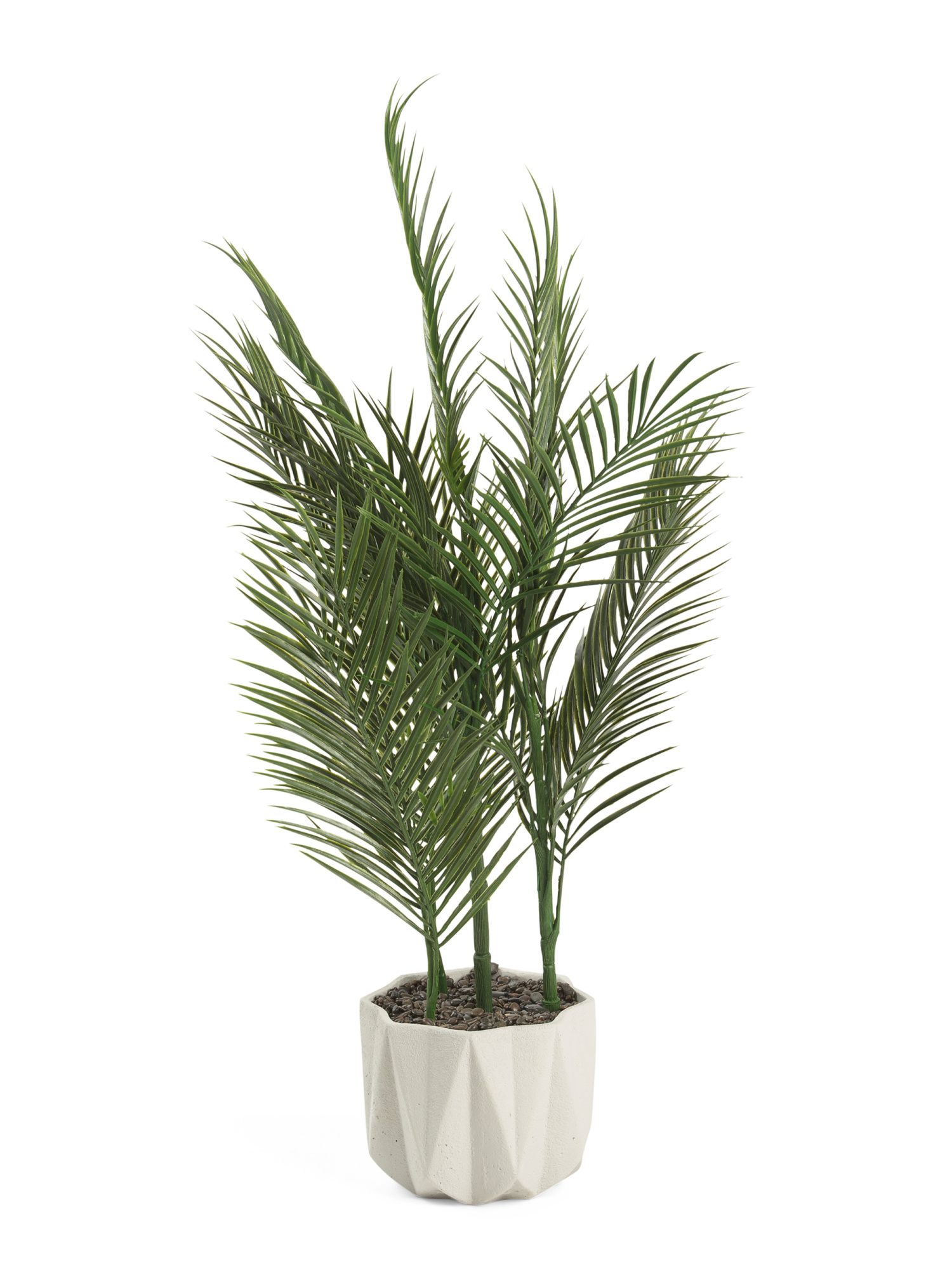 Large Areca In Prism Pot | TJ Maxx