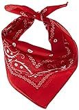amscan Red Bandana, Party Accessory, 12 Ct. | Amazon (US)