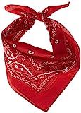 amscan Red Bandana, Party Accessory, 12 Ct. | Amazon (US)