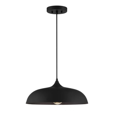 Blackthorne 1 - Light Pendant | Wayfair North America