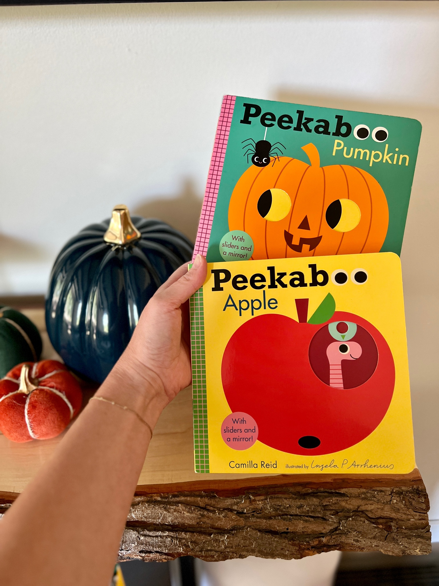 Fall Baby Books

Peekaboo Books, Toddler Books, Fall Kids Books, Slide Books, Pumpkin Book, Apple Book, Baby Shower Books, Birthday Party Books 

#LTKKids #LTKBaby