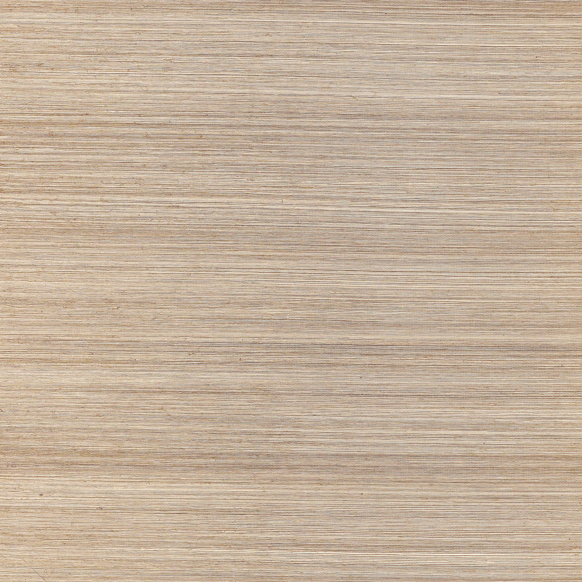 Thibaut Windward Sisal Beige Wallpaper | DecoratorsBest