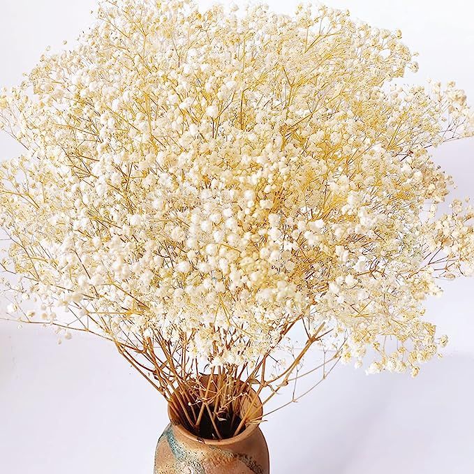Dried-Babys-Breath-Flowers-Bouquet, Glicrili 17.2 inch 2500+ Ivory White Flowers, Natural Gypsoph... | Amazon (US)