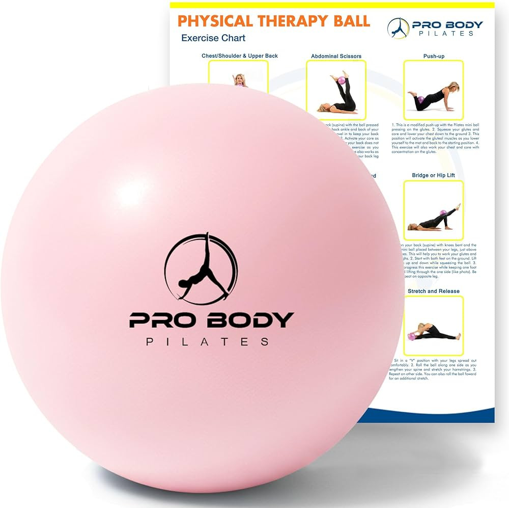 Amazon.com: ProBody Pilates Ball, Exercise Balls Physical Therapy - 9 Inch Small Exercise Ball fo... | Amazon (US)