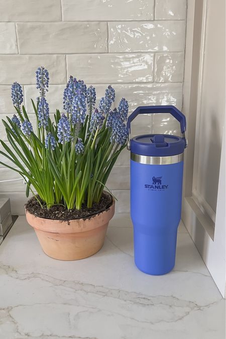 I love this iris color in the 30oz iceflow flip straw tumbler! It’s perfect for taking on long walks and the handle makes it super easy to carry! @stanley_brand #stanleypartner 

#LTKstyletip #LTKsalealert #LTKhome