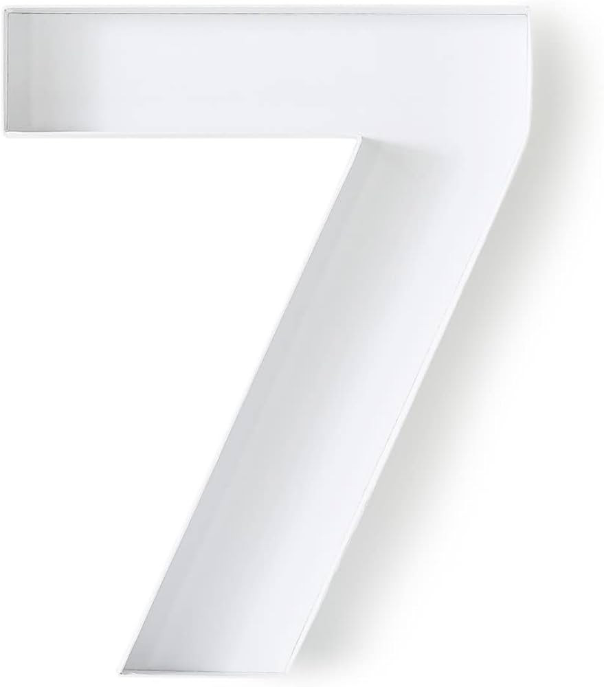 1 Count (Pack of 1) | Amazon (US)