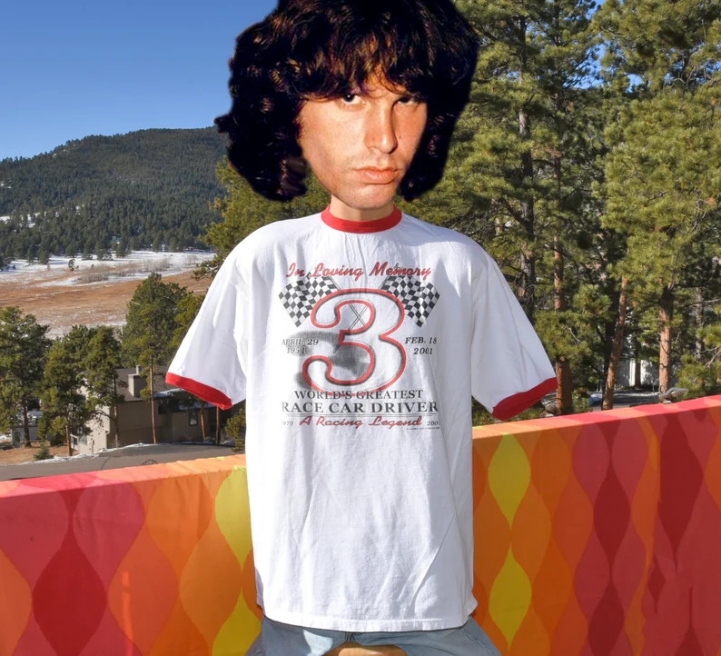 vintage 00s nascar t-shirt DALE EARNHARDT car racing tee XL Large | Etsy (US)