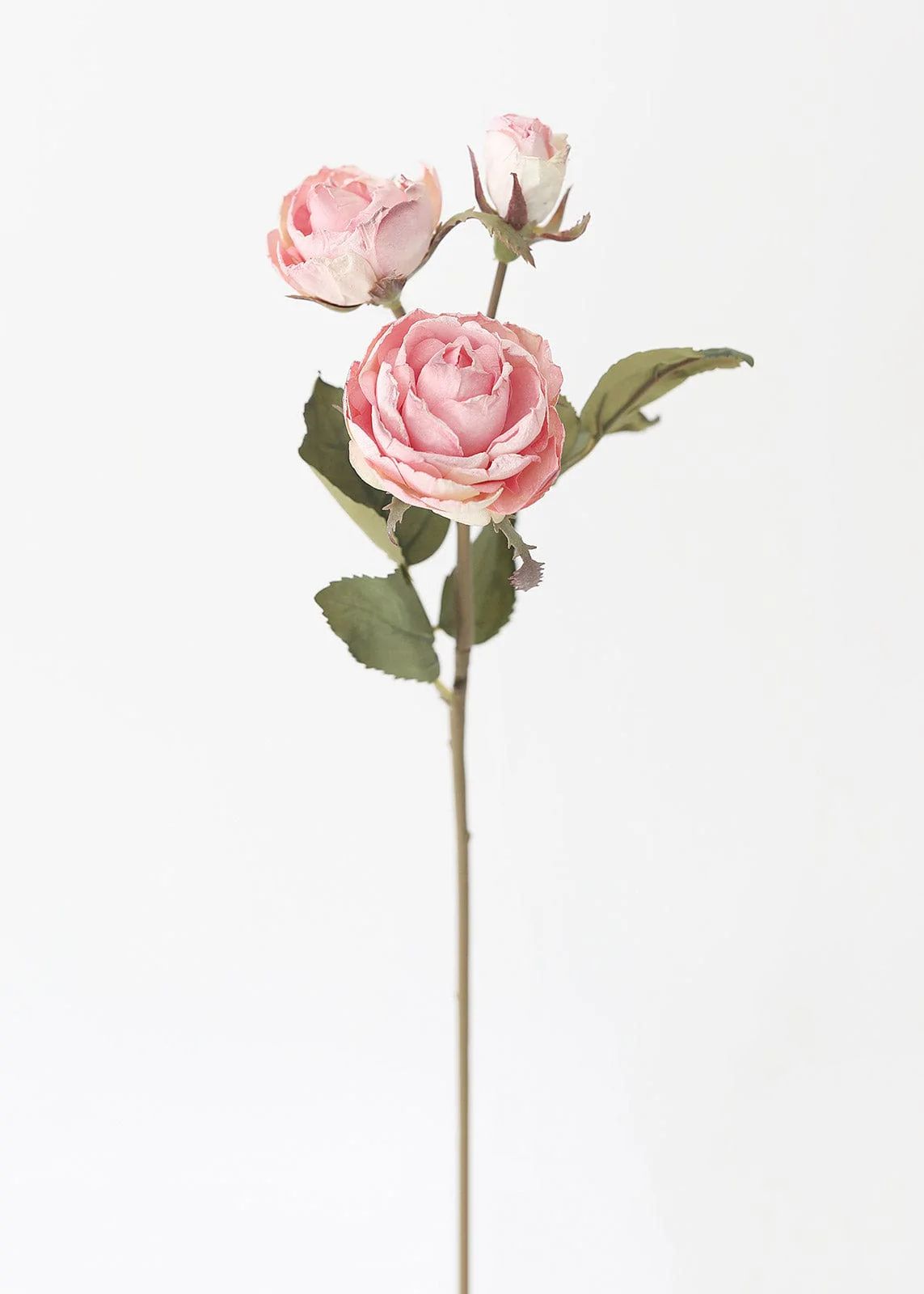 Pink Mauve Faux Dried Roses with Bud - 21" | Afloral (US)