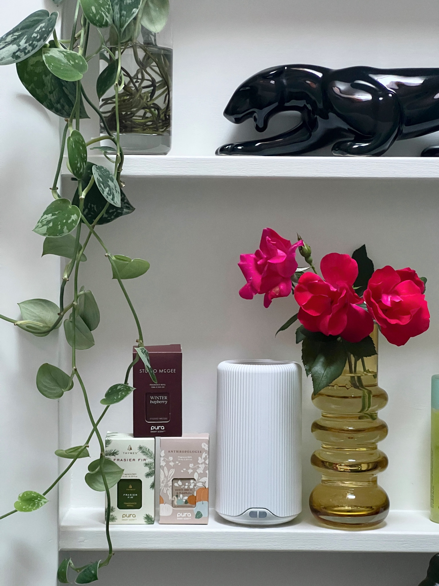 Currently diffusing Violet Fig in the newly launched Pura Plus Smart Scent Diffuser and my entire home smells amazing! Use code NASHVILLESTS20 for a site-wide discount with Pura, and join me on October 5th at Neighborlily in Nashville from 11am - 4pm for Pura's Scent The Season Tour! Shop the newly launched scent diffusers in this post & all my favorite scents of the season! #pura #purapartner #ScentTheSeason

#LTKSeasonal #LTKhome