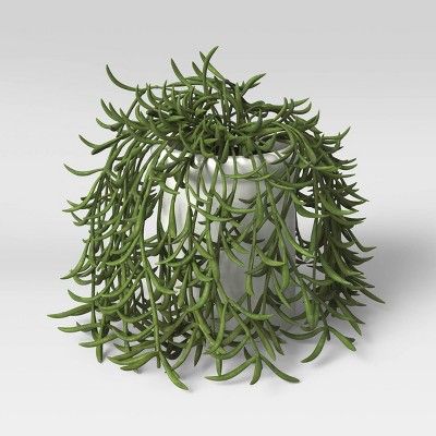 6" Artificial Trailing Succulent in Ceramic Pot Green - Threshold™ | Target