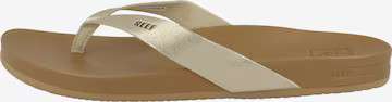 REEF Strandschuh 'Cushion Court' in Gold | ABOUT YOU (DE)