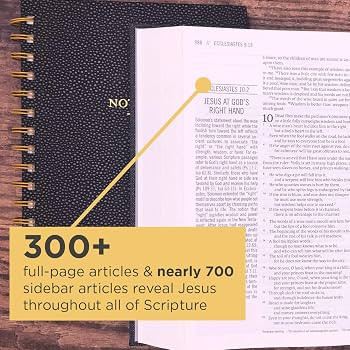 The Jesus Bible, ESV Edition, Cloth over Board, Gray | Amazon (US)