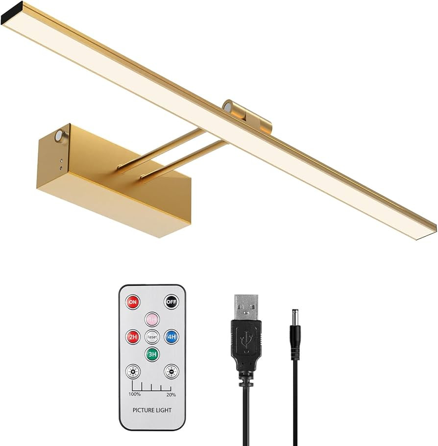 Wireless Picture Light Battery Operated Rechargeable 5200mAh, LED Art Light for Wall with Remote,... | Amazon (US)