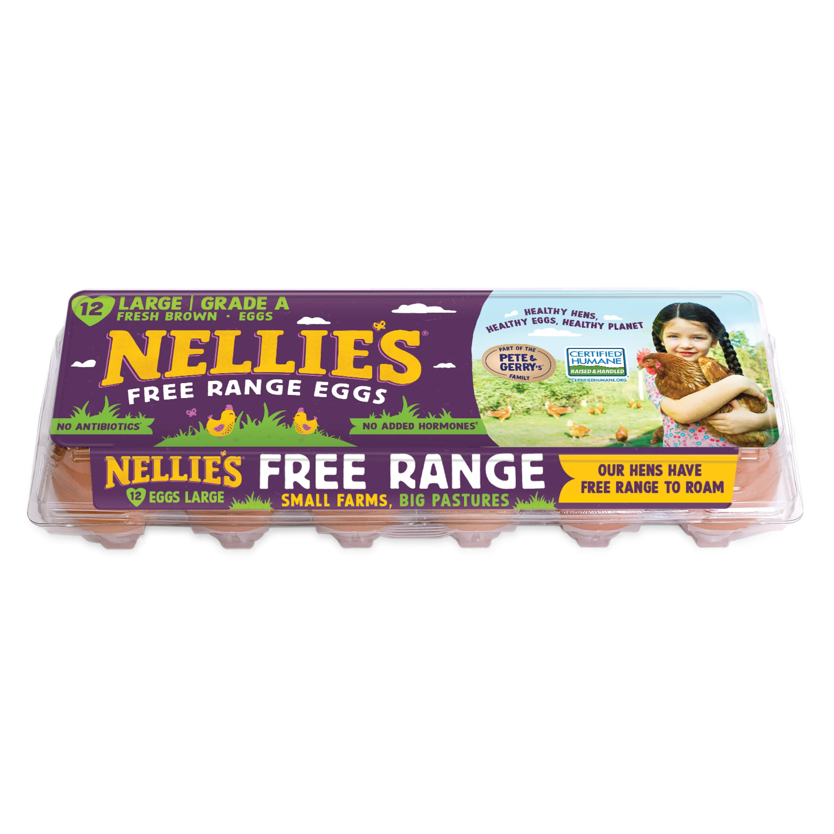 Nellie's Free-Range Large Brown Eggs, 12 Count | Walmart (US)