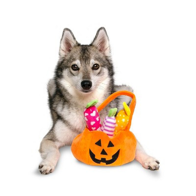 Midlee Find a Toy Halloween Pumpkin Bucket Dog Toy | Target