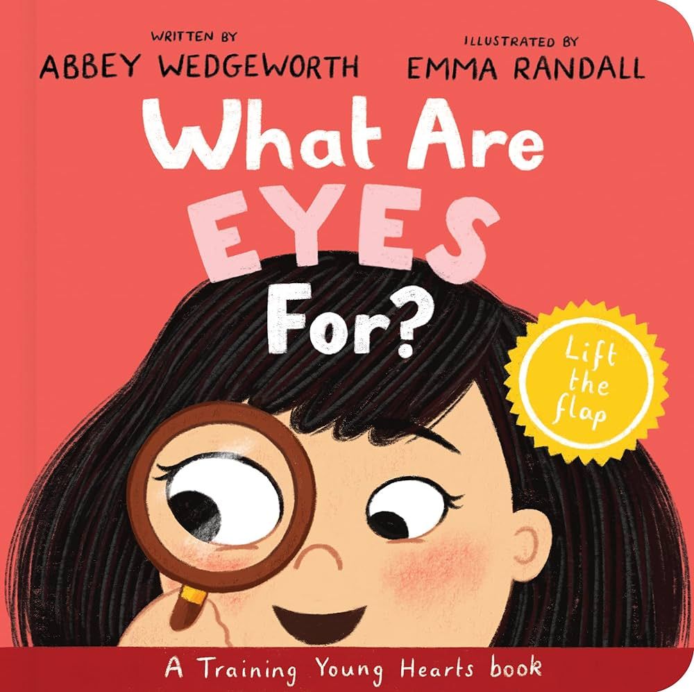 What Are Eyes For? Board Book: A Lift-the-Flap Board Book (Christian behaviour book for toddlers ... | Amazon (US)