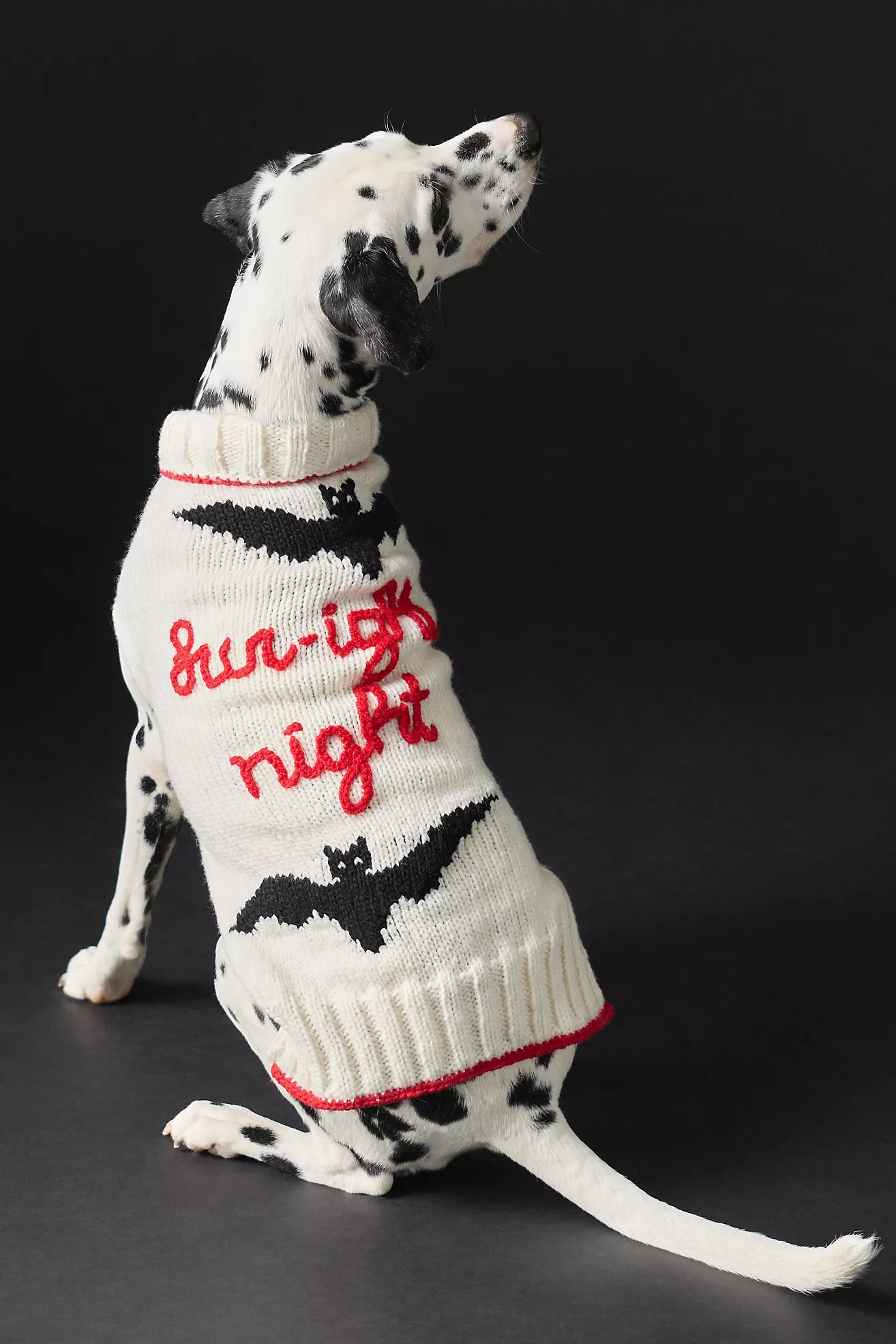 Anthropologie Halloween Phrase Pet Sweater | Anthropologie (US)