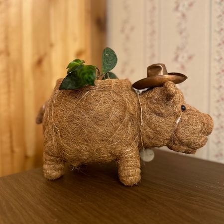 Got this a few months ago, and of course it is still my favorite little planter because of my pup, Hippo! 🌱🦛  If you're into shopping eco-conscious, sustainable, or.. just a hippo fan, grab yours via the link! This planter is made from eco-friendly materials, it's a conscious buy that adds charm to your space while caring for the planet.  #SustainableLiving #EcoFriendlyDecor #ConsciousChoice"

#LTKSpringSale #LTKSeasonal #LTKhome