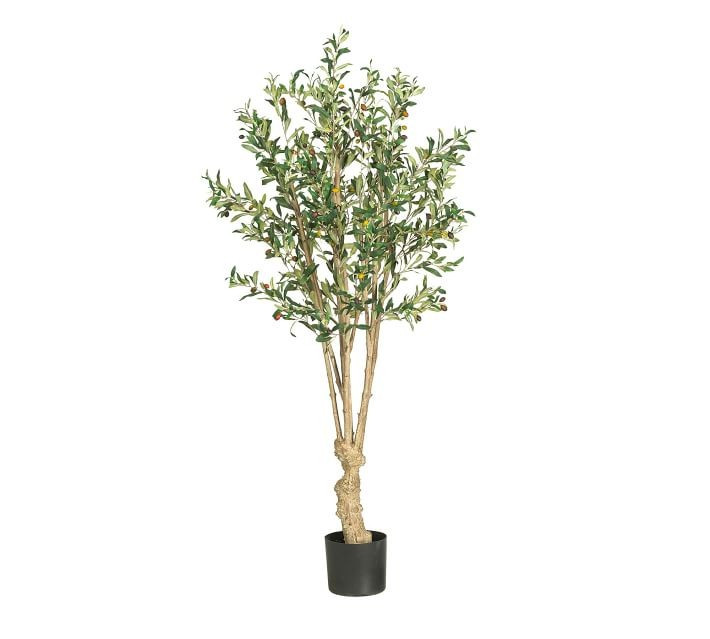 Faux Olive Tree | Pottery Barn (US)
