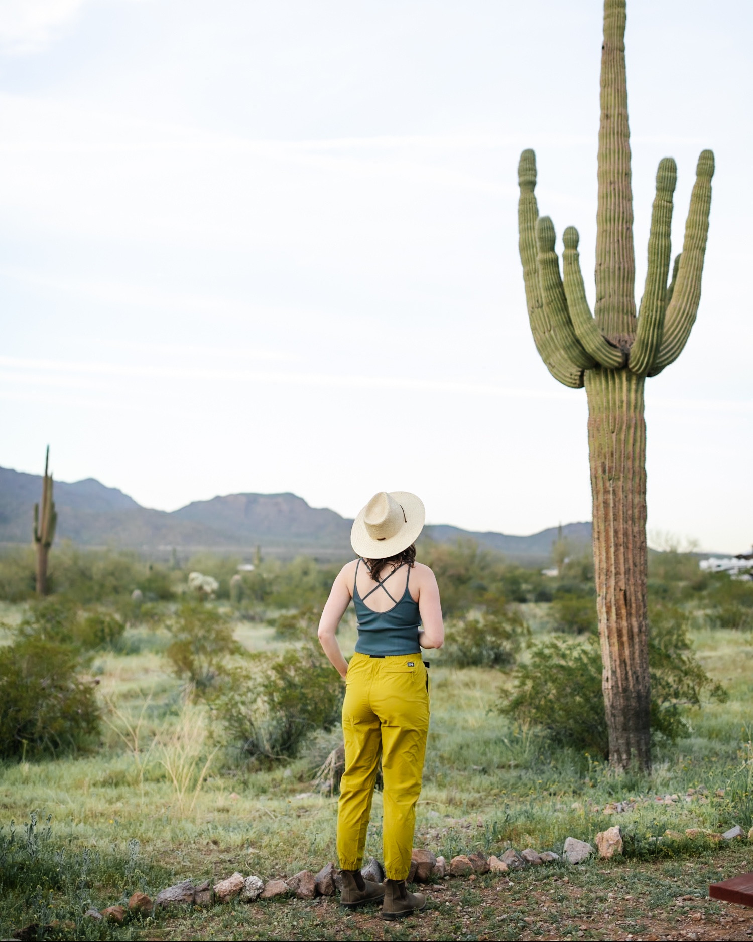 Back in January, when it was nice enough to camp in the desert 🌵 