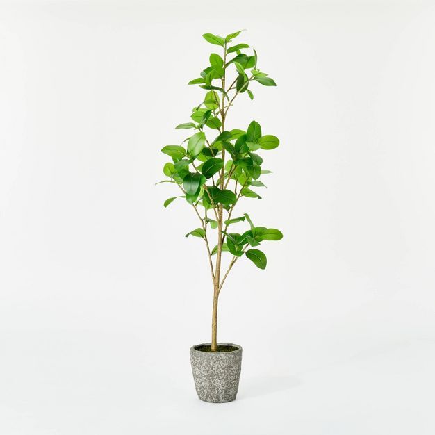 Banyan Leaf Potted Tree - Threshold&#8482; designed with Studio McGee | Target