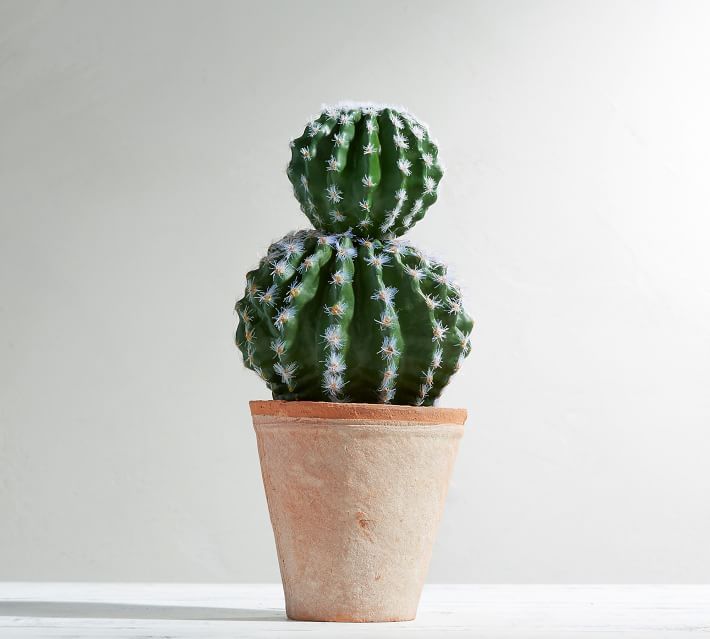 Faux Potted Double Ball Cactus | Pottery Barn (US)