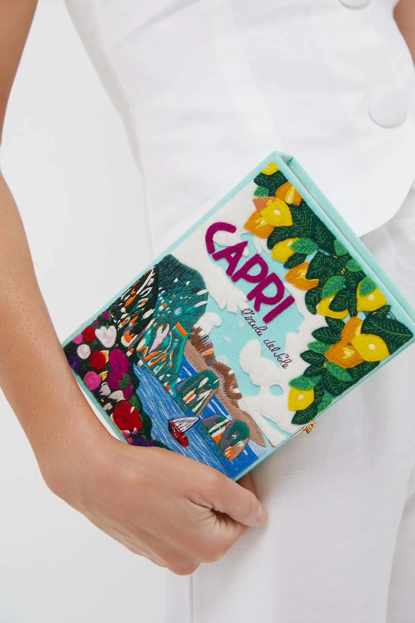 Capri Book Clutch | Tuckernuck (US)