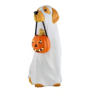 2.5 ft. LED Ghost Golden Retriever | The Home Depot