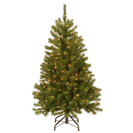 Norwood Fir Green Spruce Artificial Christmas Tree with White Lights | Wayfair North America