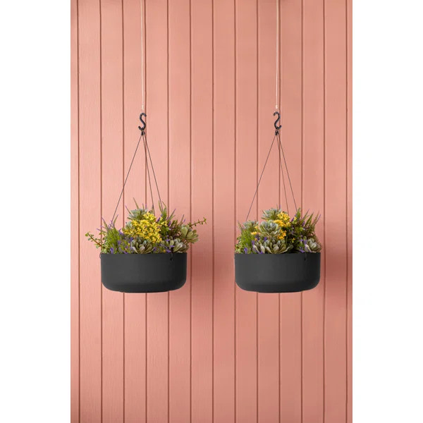 Mason Series Hanging Kona Bowl Planter | Wayfair North America