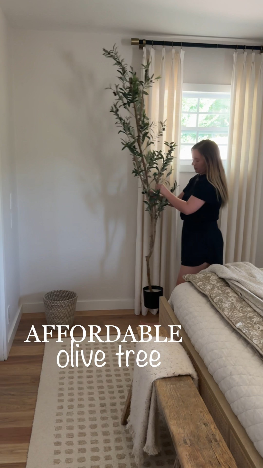 Affordable olive tree! Under $50! 

#LTKHome #LTKSaleAlert #LTKFindsUnder50