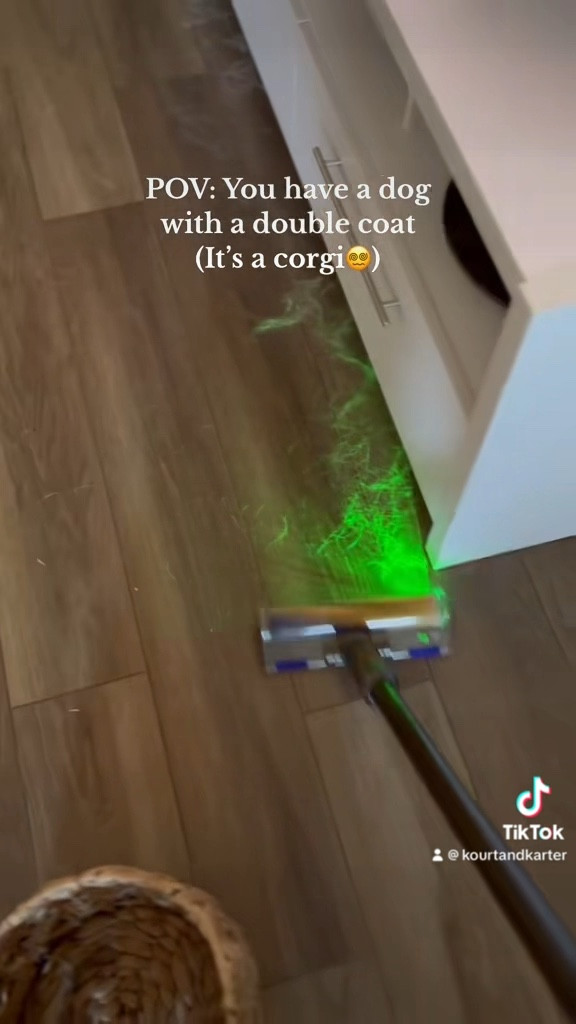 Love my Dyson! Especially as a dog mom!

#LTKhome #LTKVideo