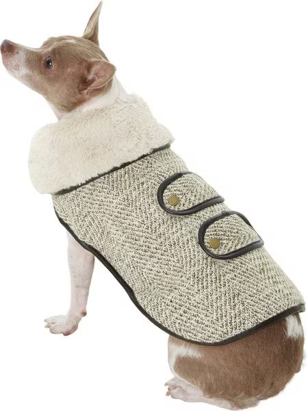 FRISCO Manhattan Tweed Dog & Cat Coat, Taupe, Small - Chewy.com | Chewy.com