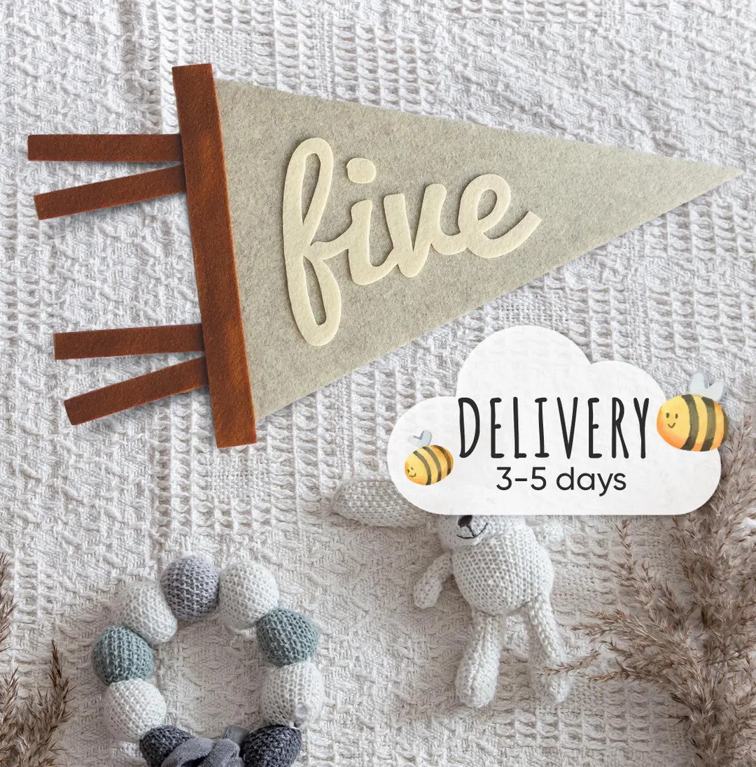 Baby Milestone Cards, Kids and Baby Monthly Milestone Marker, Personalized Pennant, Monthly Miles... | Etsy (US)