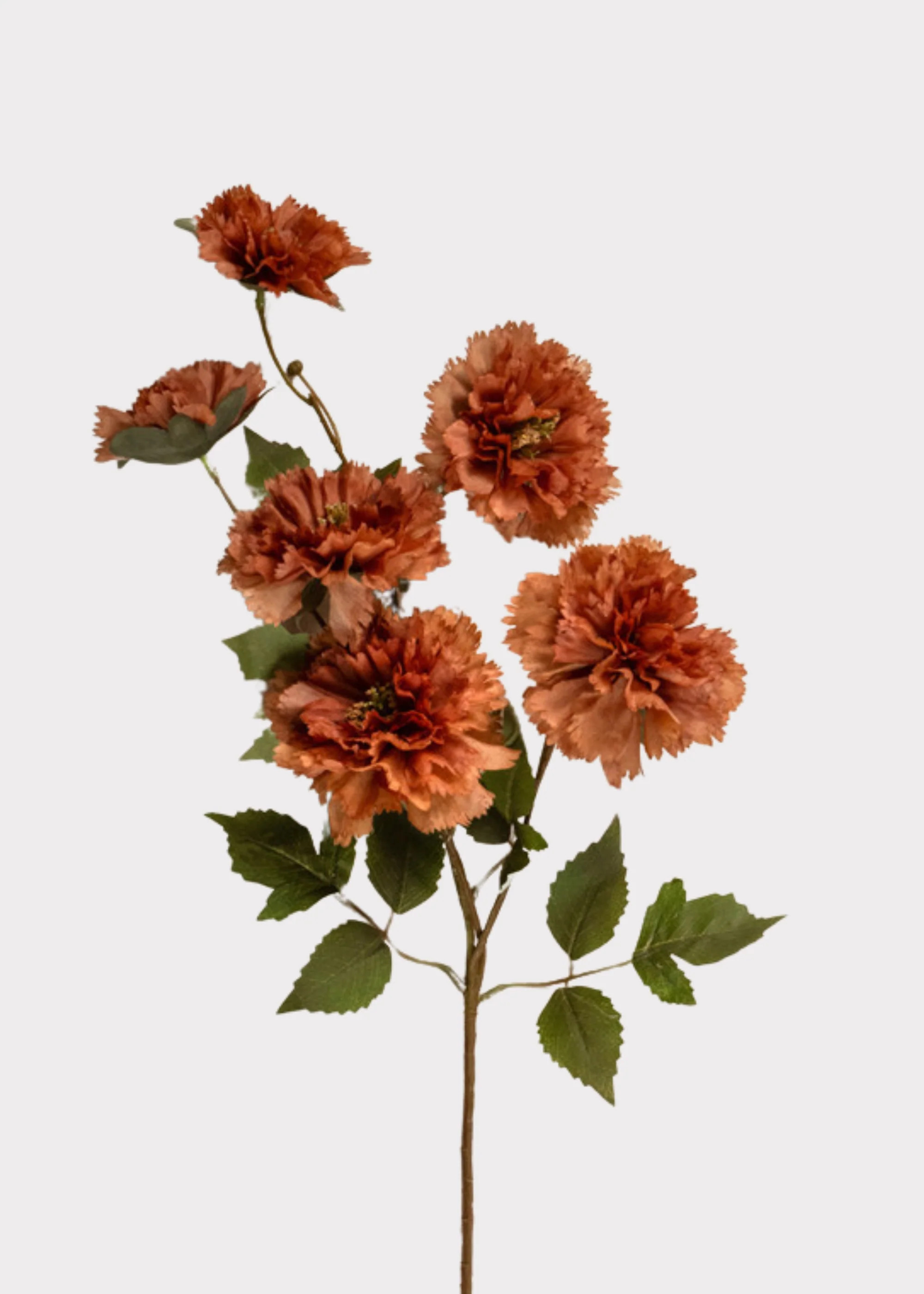 Artificial Carnation Flowers in Autumn Brown - 30.5 | Afloral