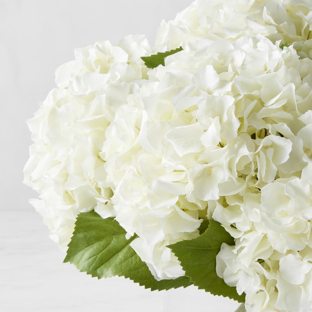 Faux White Hydrangea in Glass Vase | Williams-Sonoma