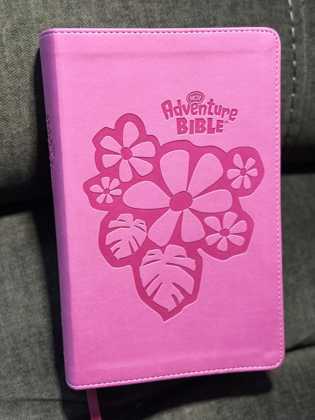 NIrV, Adventure Bible for Early Readers, Leathersoft, Pink, Full Color | Amazon (US)