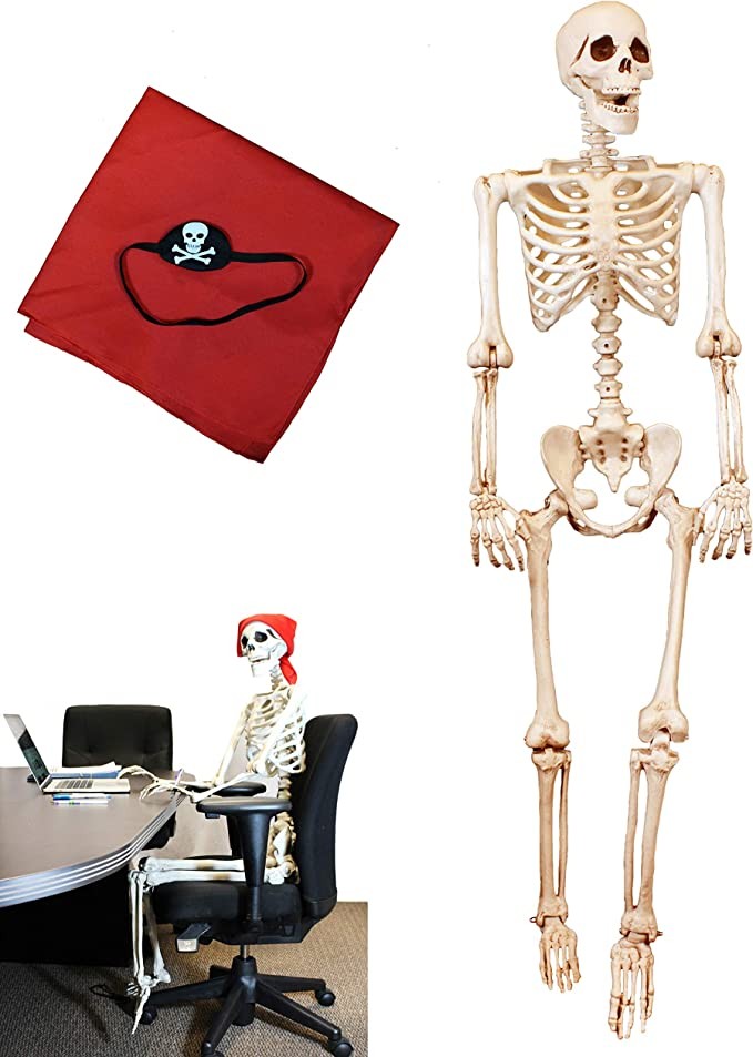5 ft Pose-N-Stay Life Size Skeleton Full Body Realistic Human Bones with Posable Joints for Hallo... | Amazon (US)